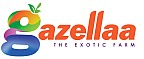 Gazellaa